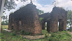 Asalu-Fort-Dima-Hasao