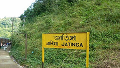 Jatinga-Dima-Hasao