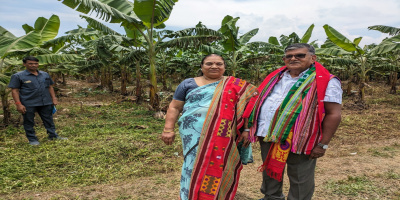 At a Banana Plantation Site in Goalpara