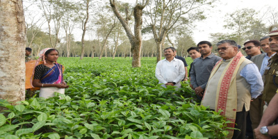 Governor and First Lady at a tea garden in Dibrugarh